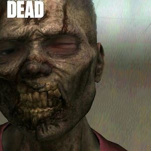 Meet your Posher, Seth